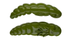 031 - Olive