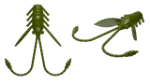 031 - Olive