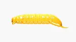 008 - Dark Yellow
