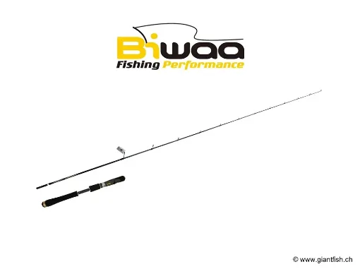 Picture of Biwaa MY RELIGION Micro Rod - 70M