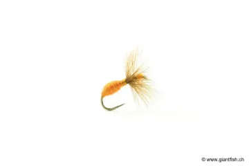 Picture of Devaux Terrestrial Fly 517