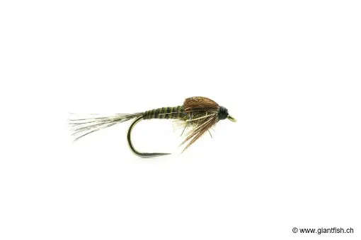 Bild von Fliege Devaux Nymphe JBN46