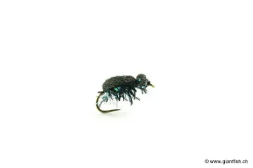 Immagine di Mosca Devaux Terrestre SCAN 01