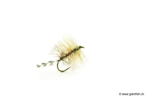 Image de Mouche Devaux Palmer TT 01