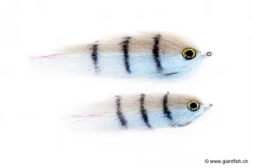 Devaux MOUCHE MER SW H2