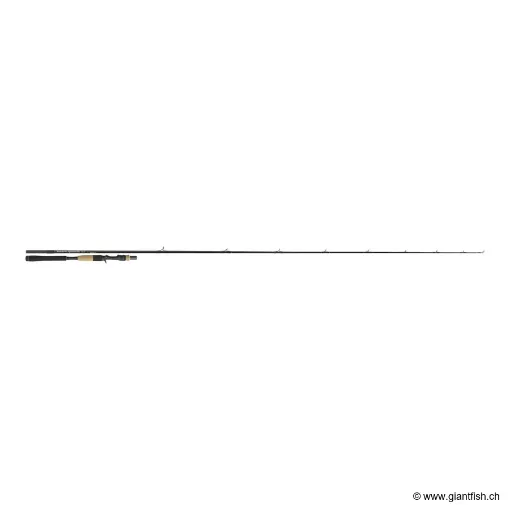Image de Canne Casting TENRYU INJECTION BC 73 H PIKE SPECIAL
