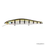 509 Blue Gill