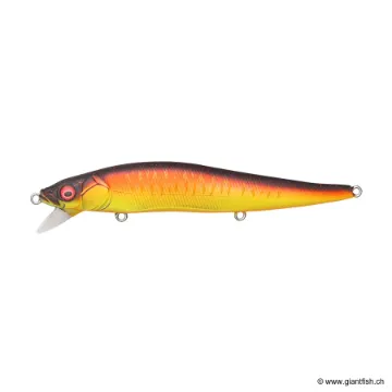 Megabass VISION 110 SR