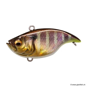 Megabass Vibration X Dyna Silent