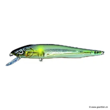 Megabass VISION 95