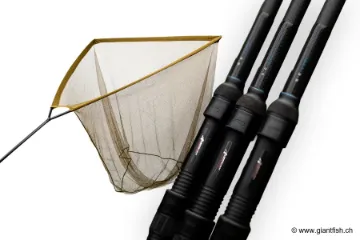 Immagine di Set NASH Canna Air Force F20 13 ft 3.50 lbs e Retino per carpa