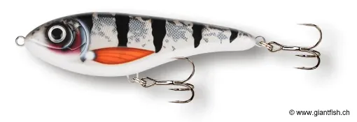 Image de Leurre Coulant CWC Buster Jerk Silent - 15 cm
