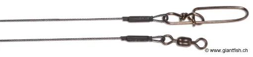 Image de Bas de Ligne CWC Pro Titanium Leader