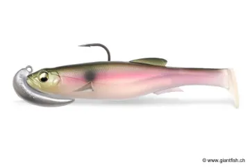 Immagine di Testa Piombata Megabass MAG DRAFT HEAD
