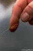 Picture of FOX Edges Marker Elastic