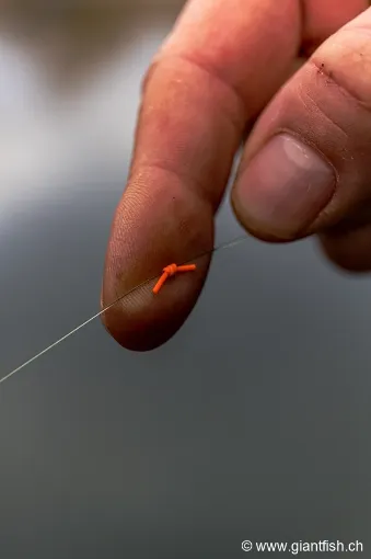 Picture of FOX Edges Marker Elastic