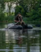 Immagine di Barca Gonfiabile FOX EOS Boat 215