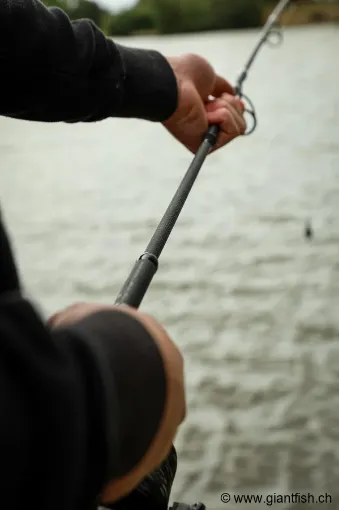Immagine di Canna telescopica da carpa FOX Horizon X6 Ti Explorer - 8-10 ft - 3.25 lbs