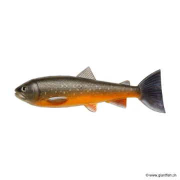 Pulz-Bait Trout/Roach